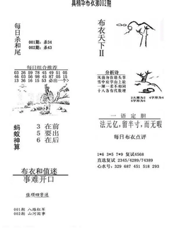 26002期: 福彩3D全套图版参考