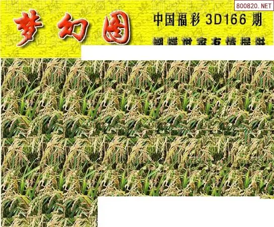 25166期: 3D蝴蝶世家蝴蝶彩图