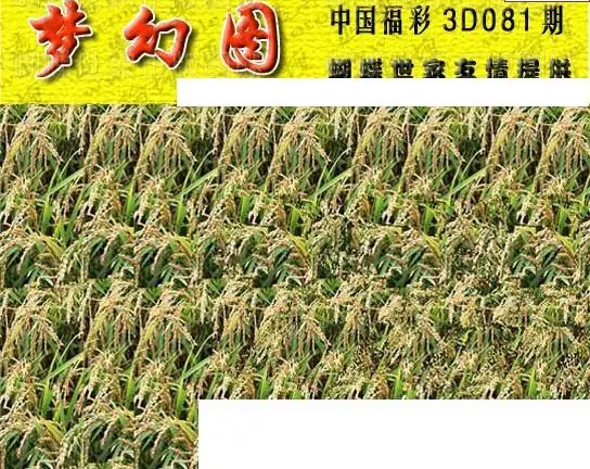 25081期: 3D蝴蝶世家蝴蝶彩图