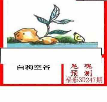 24247期: 白老3D杀码图版