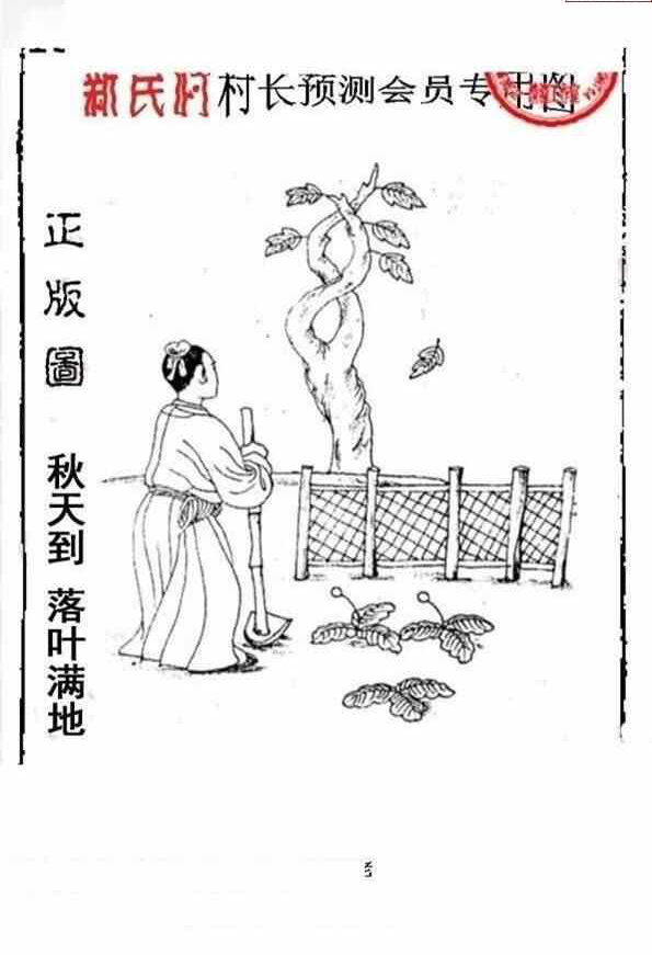 24135期: 老村长福彩3D天天图谜