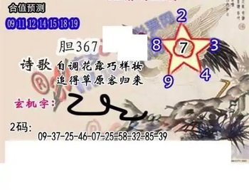 25311期: 白老3D杀码图版