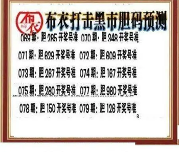 26079期: 三毛3D精品图谜