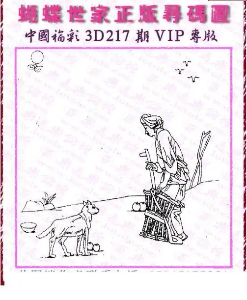 25217期: 3D蝴蝶世家蝴蝶彩图