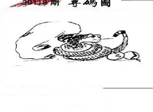 25118期: 三毛3D精品图谜