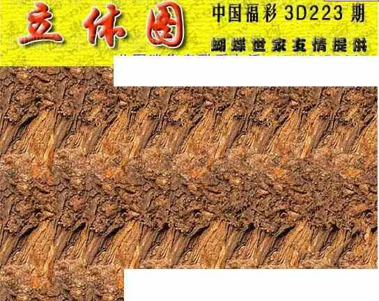 24223期: 3D蝴蝶世家蝴蝶彩图