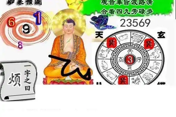 25314期: 白老3D杀码图版