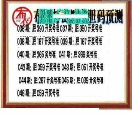 25046期: 三毛3D精品图谜