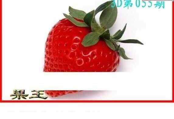 25055期: 白老3D杀码图版