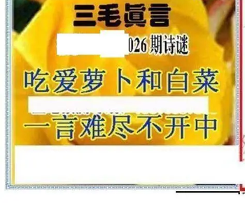 26026期: 三毛3D精品图谜