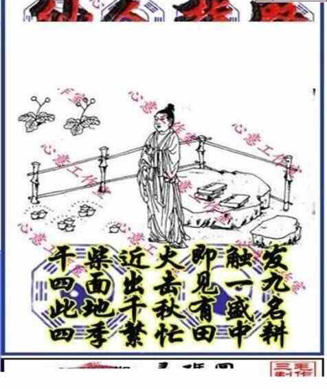 24250期: 三毛3D精品图谜