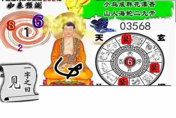 24252期: 白老3D杀码图版