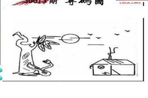 25013期: 三毛3D精品图谜