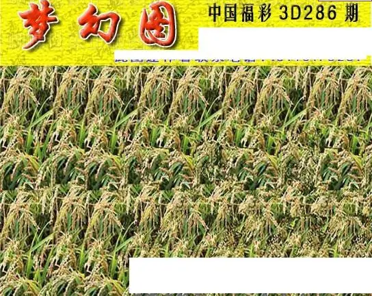 25285��: 3D�������Һ�����ͼ