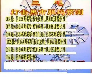 26016期: 三毛3D精品图谜