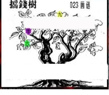 26023期: 三毛3D精品图谜