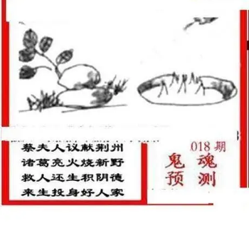 26018期: 三毛3D精品图谜