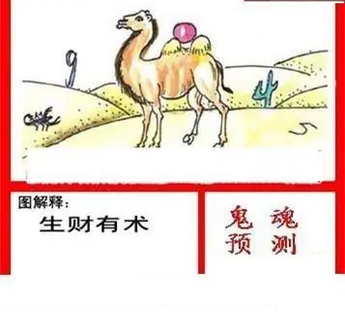 26100期: 白老3D杀码图版