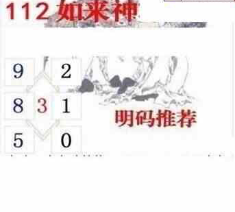 24112期: 白老3D杀码图版