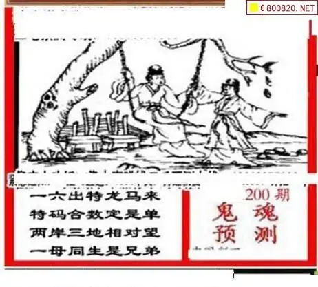 25200期: 三毛3D精品图谜