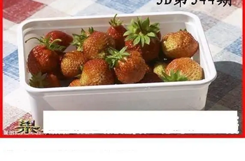 25344期: 白老3D杀码图版