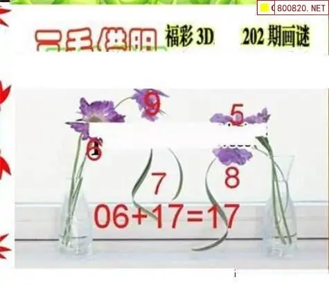 25202期: 三毛3D精品图谜