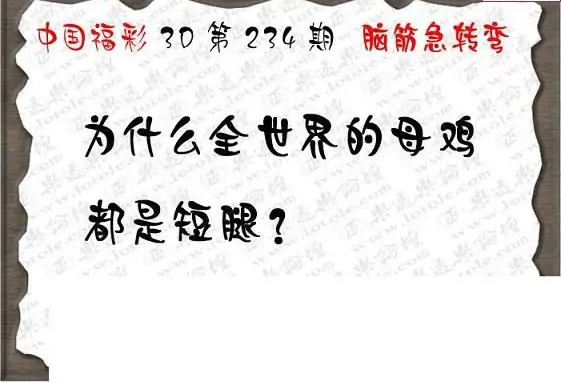 25234期: 3D蝴蝶世家蝴蝶彩图