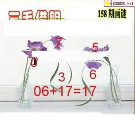25158期: 三毛3D精品图谜