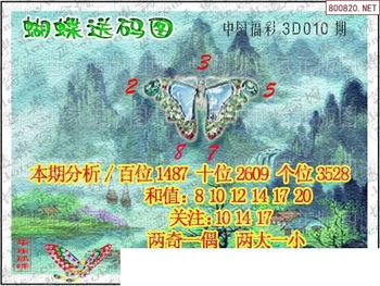26010期: 3D蝴蝶世家蝴蝶彩图