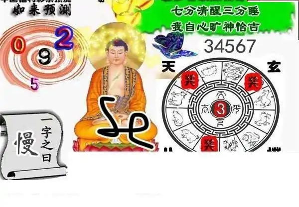 25065期: 白老3D杀码图版