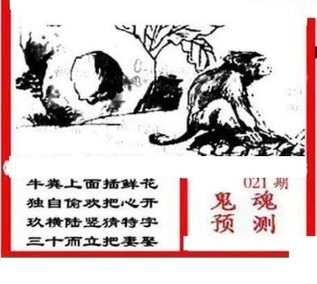 26021期: 三毛3D精品图谜