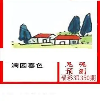 25350期: 白老3D杀码图版