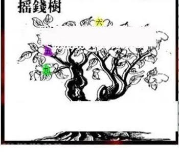 26083期: 三毛3D精品图谜