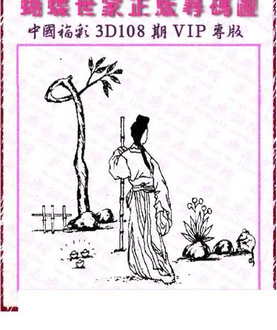 26108期: 3D蝴蝶世家蝴蝶彩图