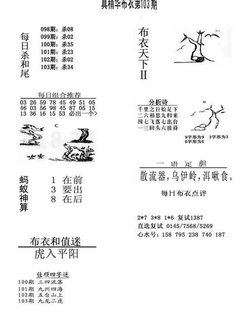 26103期: 福彩3D全套图版参考