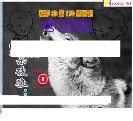 25170期: 三毛3D精品图谜