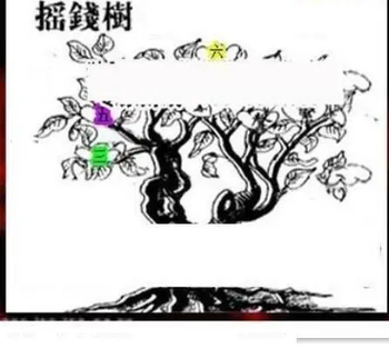 26070期: 三毛3D精品图谜