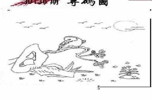 24136期: 三毛3D精品图谜