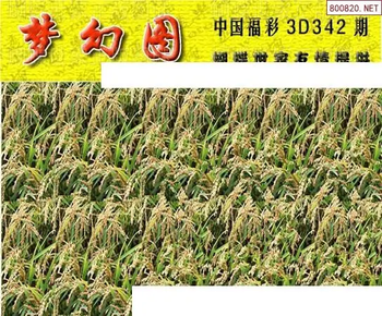 25342期: 3D蝴蝶世家蝴蝶彩图