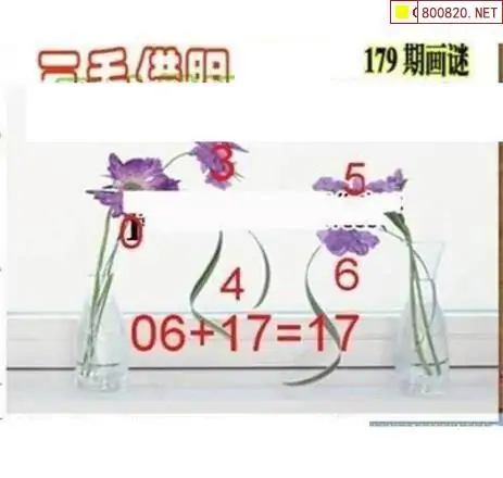 25179期: 三毛3D精品图谜