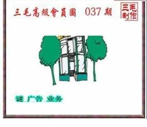 25037期: 三毛3D精品图谜