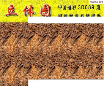 26089期: 3D蝴蝶世家蝴蝶彩图