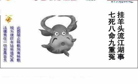 24075期: 白老3D杀码图版