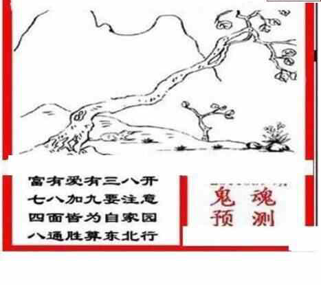 24089期: 三毛3D精品图谜