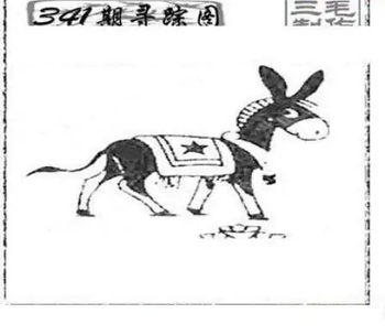 25341期: 三毛3D精品图谜