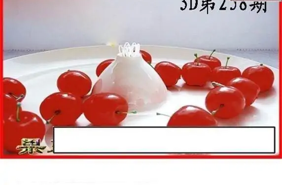 25258期: 白老3D杀码图版