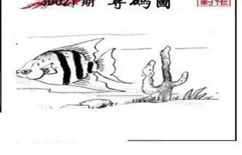 26021期: 三毛3D精品图谜