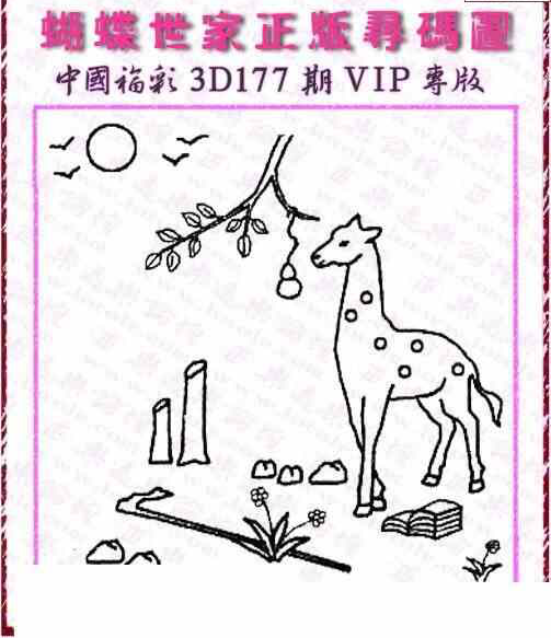 24177期: 3D蝴蝶世家蝴蝶彩图