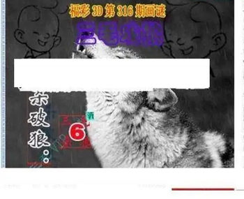 25316期: 三毛3D精品图谜