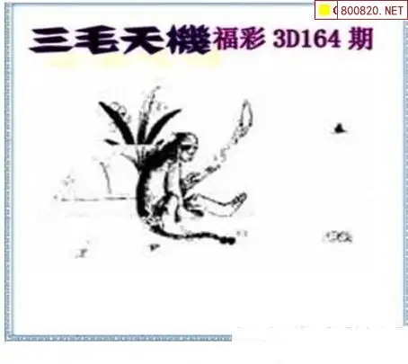 25164期: 三毛3D精品图谜